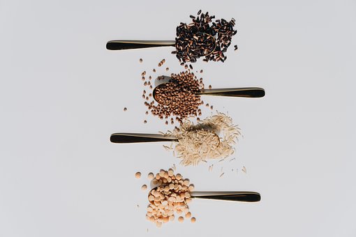 Free Cereals Grains photo and picture