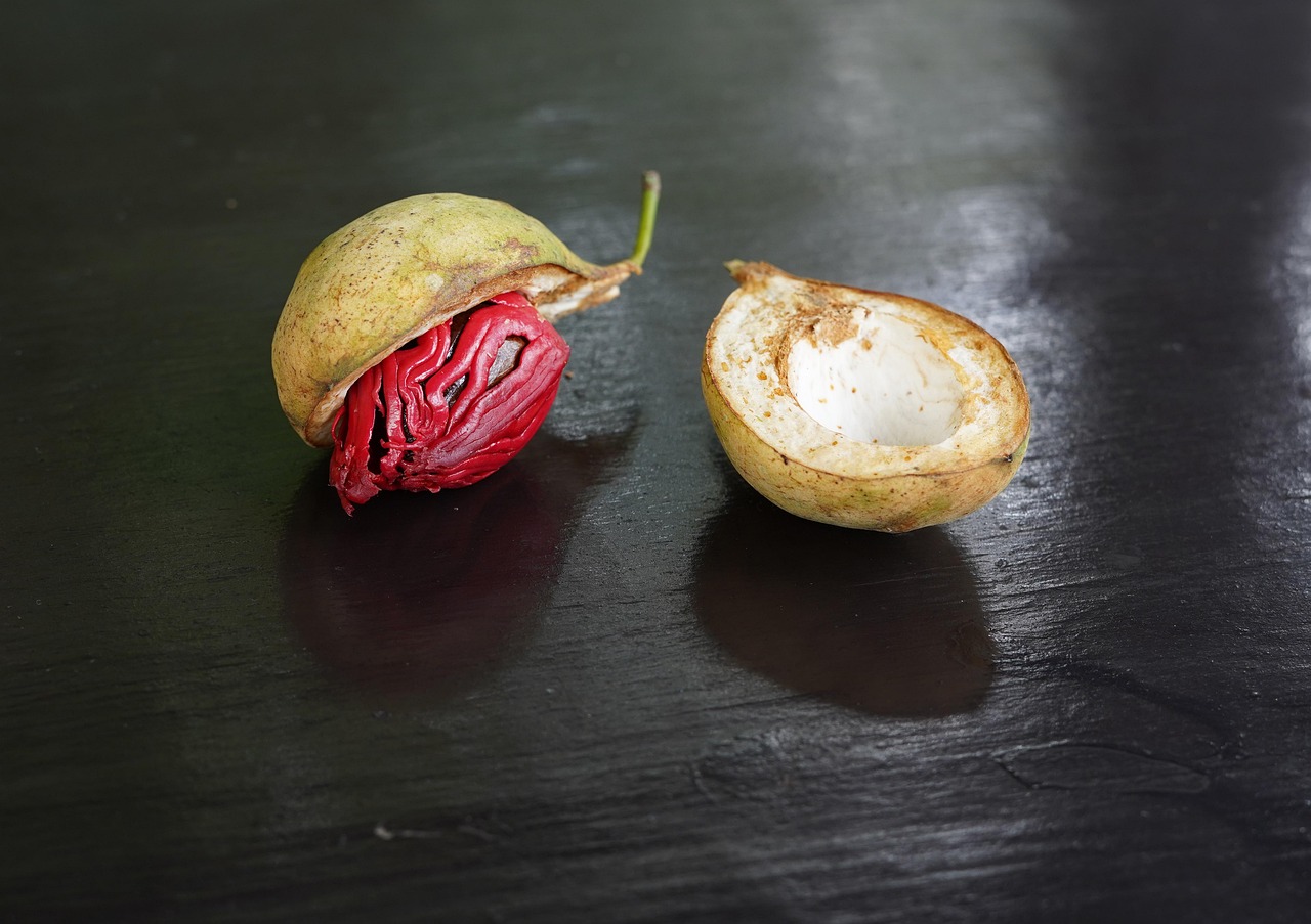 Nutmeg Seasoning Fruit Free photo on Pixabay Pixabay
