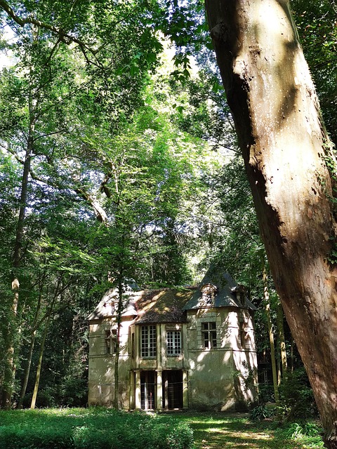 Free Castle House photo and picture