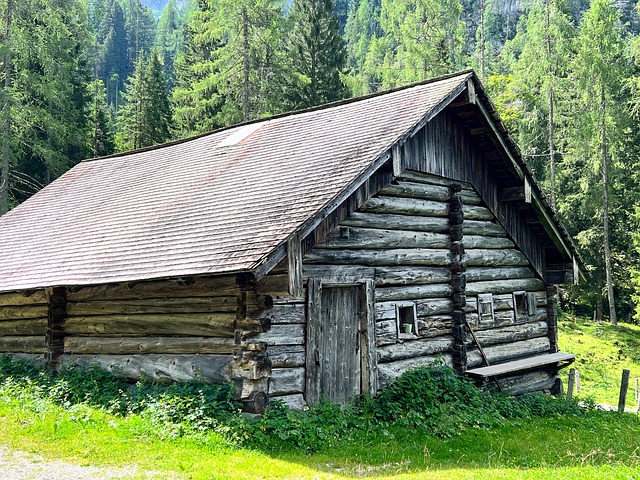 Free Hut House photo and picture