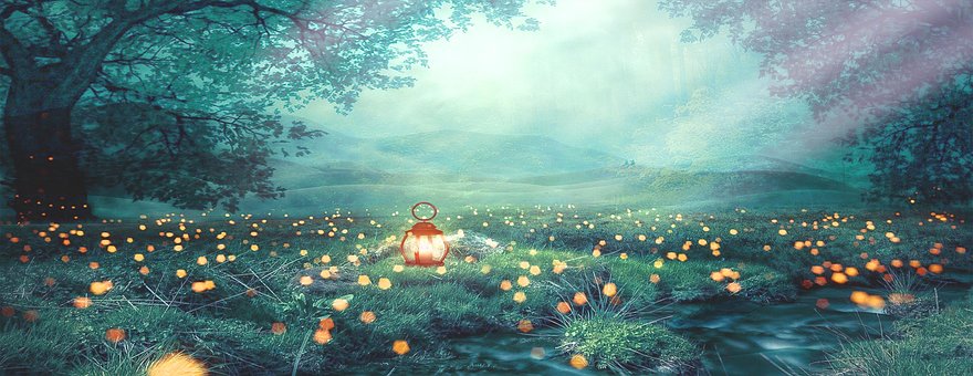 Linterna, Luces, Luciérnagas, Bosque