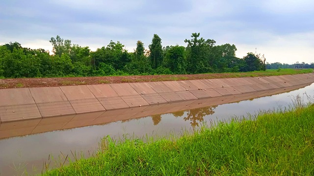 Kanal, Vand, Skov, Natur, Rejse