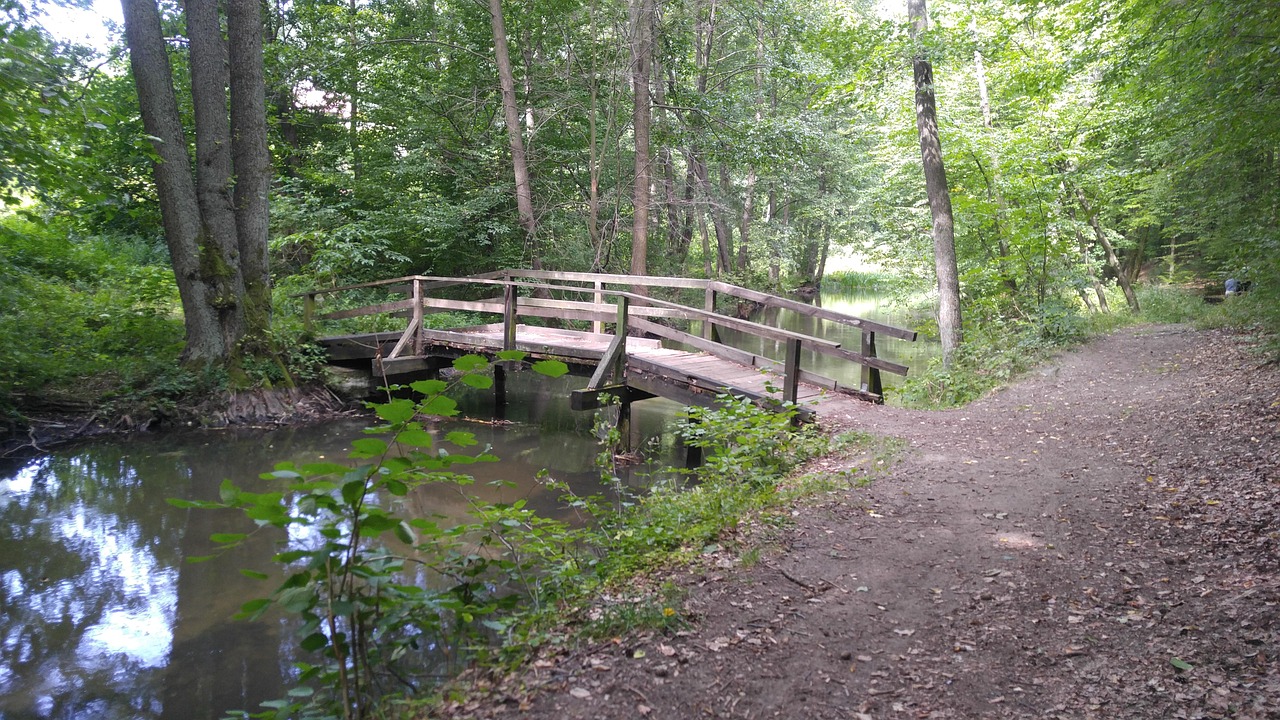 Wald Bachlauf Br cke Kostenloses Foto Auf Pixabay Pixabay wald-bachlauf-br-cke-kostenloses-foto-auf-pixabay-pixabay