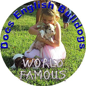 Hundehvalp, Hvalpe, Bulldogs, Bulldog