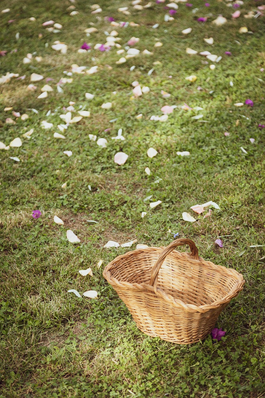Petale De Fleur Mariage