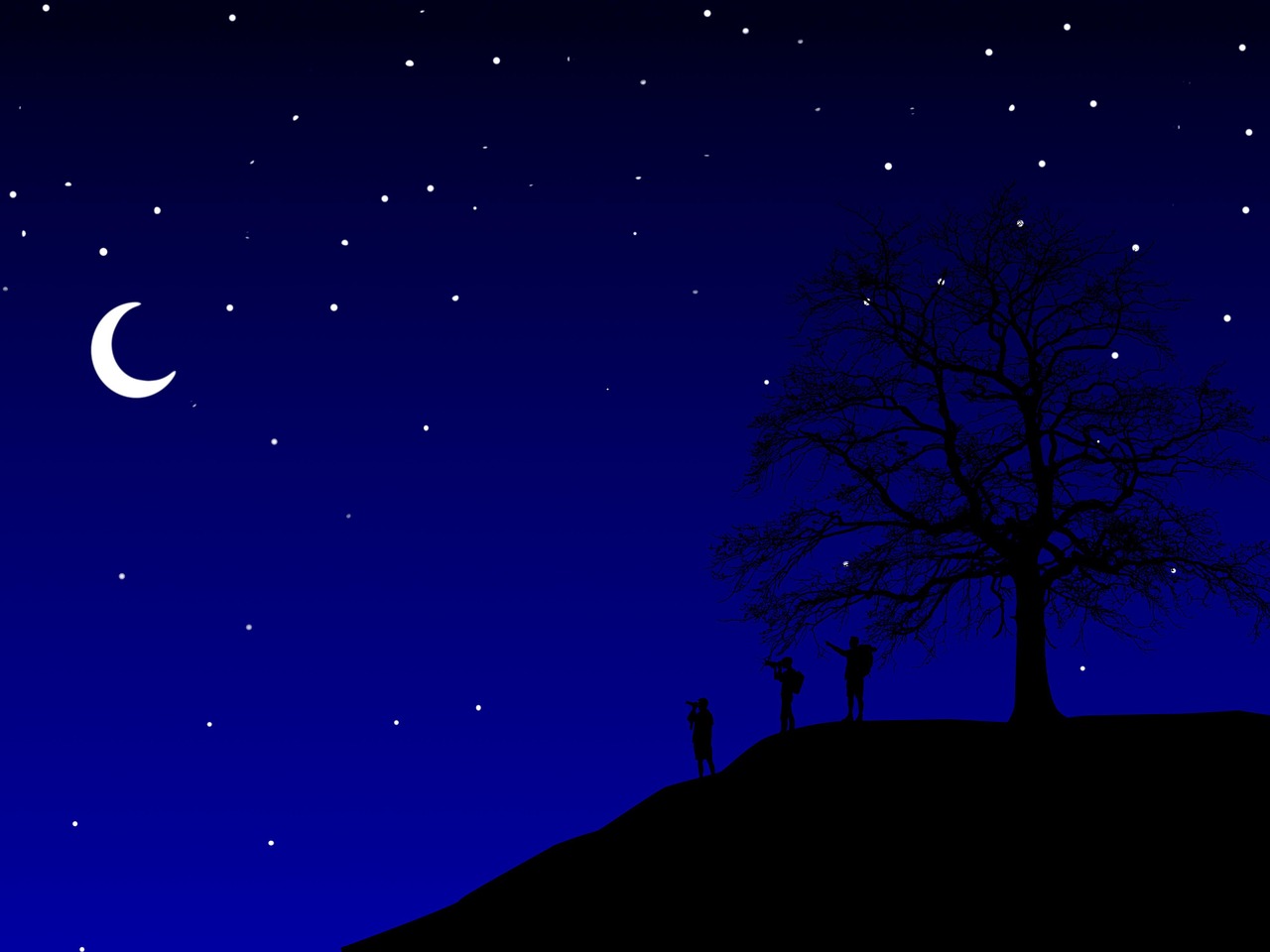 夜晚 星星 月光 - Pixabay上的免费照片 - Pixabay