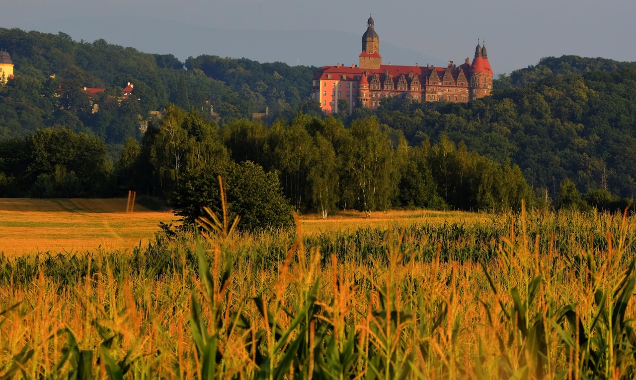 Castle - free online jigsaw puzzle photo