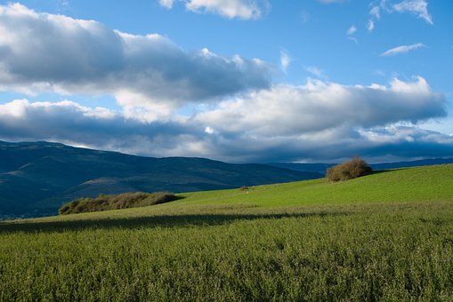 Pyrenäen, Landwirtschaft, Feld