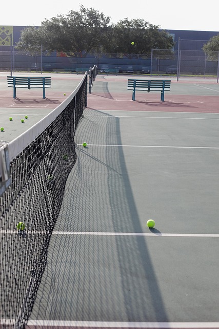 Tennis, Bold, Sport, Ret, Net, Tom