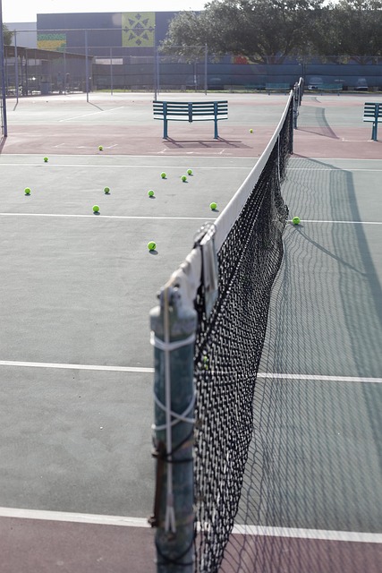 Tennis, Bold, Sport, Ret, Net, Tom