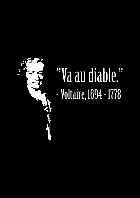 Voltaire, Humor, Xingamento, Francês