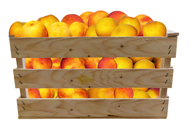 Free peaches fruits crate of fruits illustration