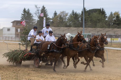 Hesterace, Bil Race, Fire I Hånden