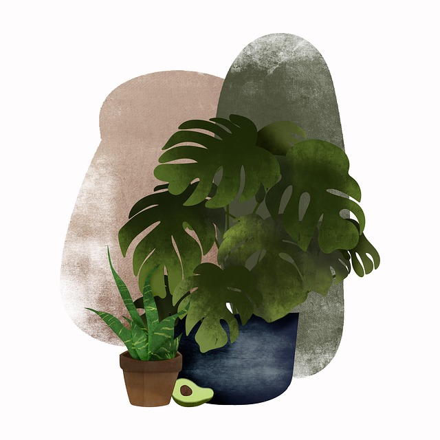 Monstera, Blade, Løv, Boho Kunst Stil