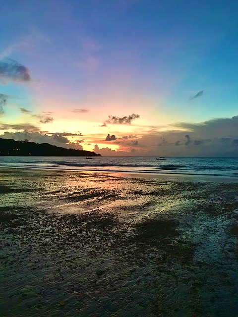 Free Sand Beach photo and picture