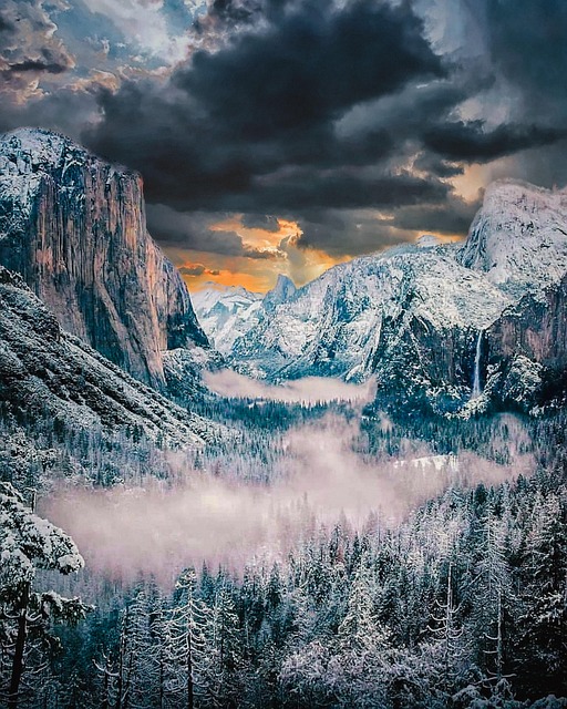 Park, Yosemite, Wald, Natur, Berg