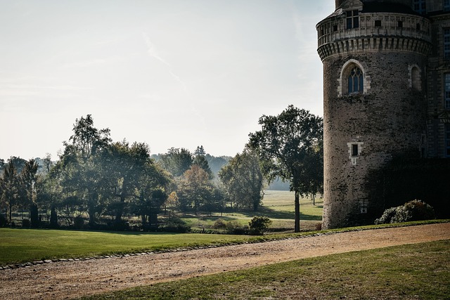 Slot, Frankrig, Smukke Blomster