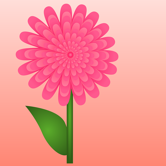 Blomst, Natur, Rosa Blomst