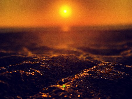 Free Beach Ocean photo and picture
