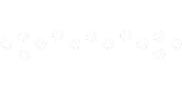 Repollo, Transparente, Logo, Bosquejo