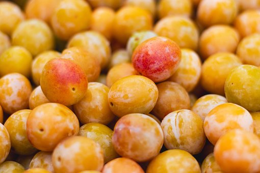 Ameixas, Lorena, Fruta, Parede, Doce