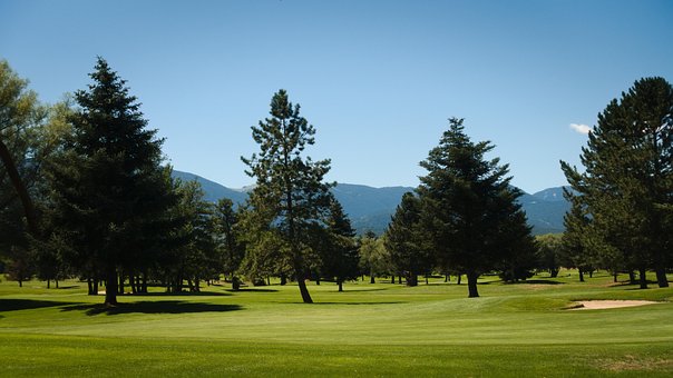 Golf, Bäume, Grün, Wald, Cerdanya