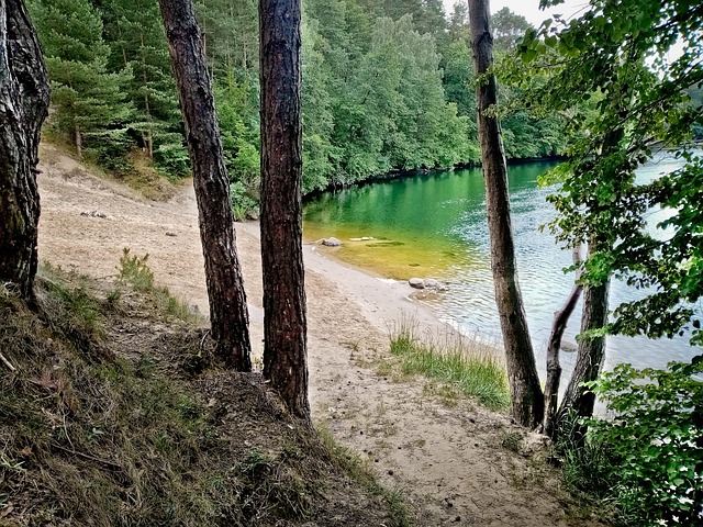 Strand, Sø I Skoven, Grøn Sø, Natur