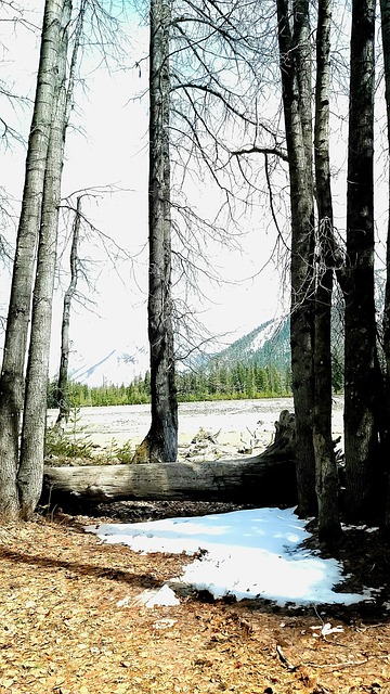 Free Bumping Lake Lake photo and picture