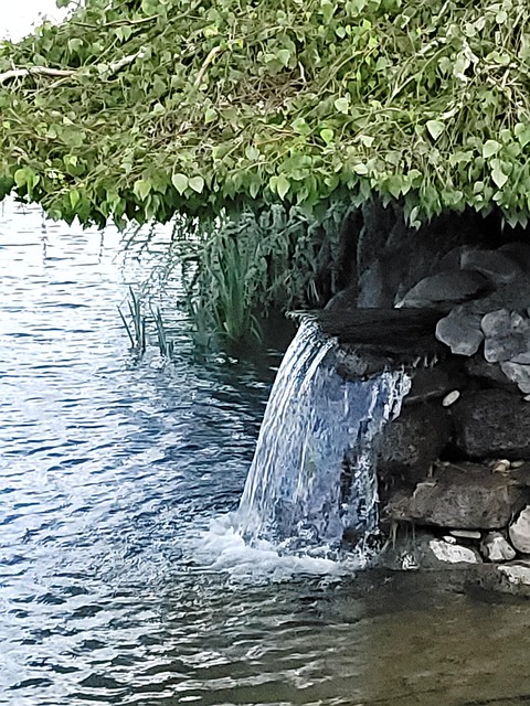Free Water Waterfall photo and picture