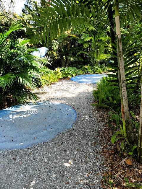 Free Tropical Nature photo and picture