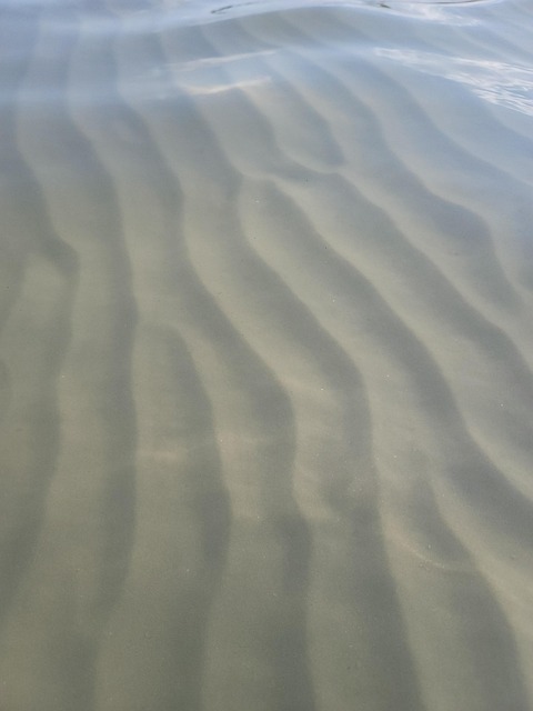 Free Beach Sand photo and picture
