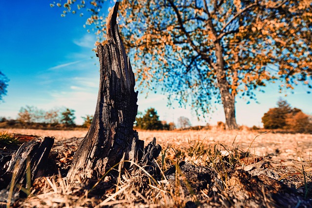 Free Dryness Heat photo and picture