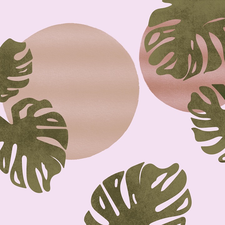 Monstera Pflanze Tropisch Kostenloses Bild Auf Pixabay