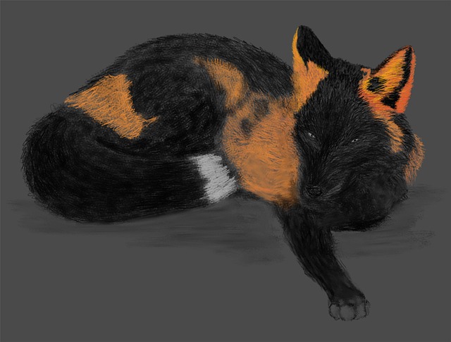 Free fox animal artwork illustration