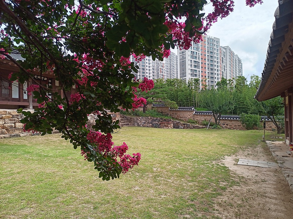 Hanok Traditional Grass Free photo on Pixabay Pixabay