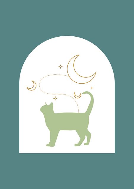 Kat, Killing, Hus Kat, Kæledyr, Natur