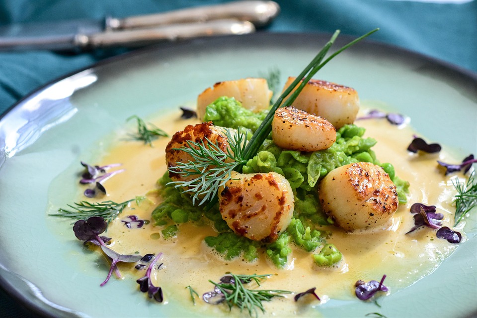 Scallops Seafood Shellfish Free photo on Pixabay