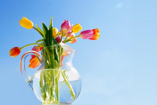 Tulipaner, Blomst Baggrund, Blomster