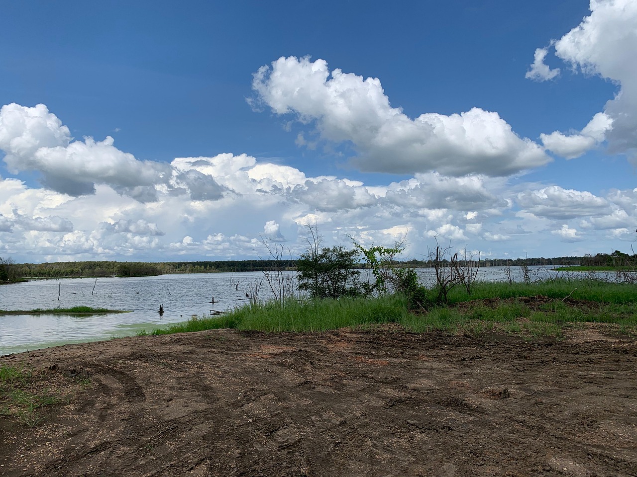 Butler Lake Mississippi Free photo on Pixabay Pixabay