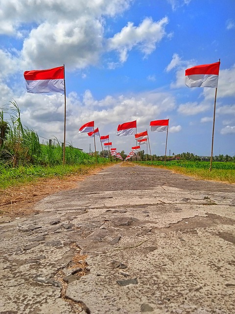 Indonesische Flagge, Unabhängigkeit