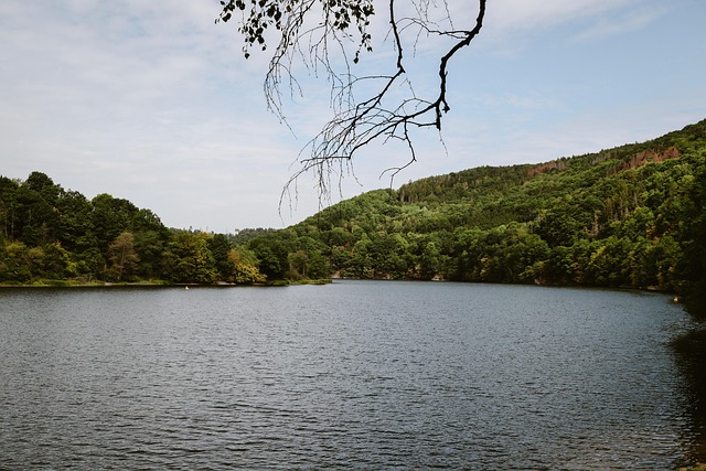 Sygeplejerske, Eifel, Natur, Landskab