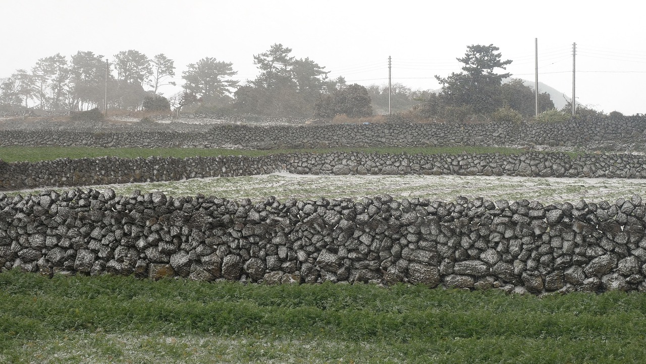 800+ Free Jeju Batdam & Jeju Images - Pixabay