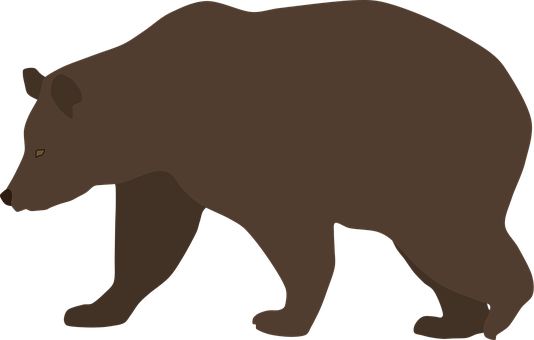 Free Bear Brown Bear vector and picture