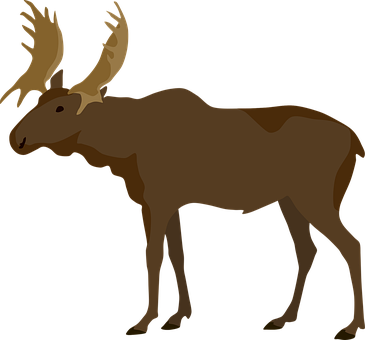 Free Moose Deer vector and picture