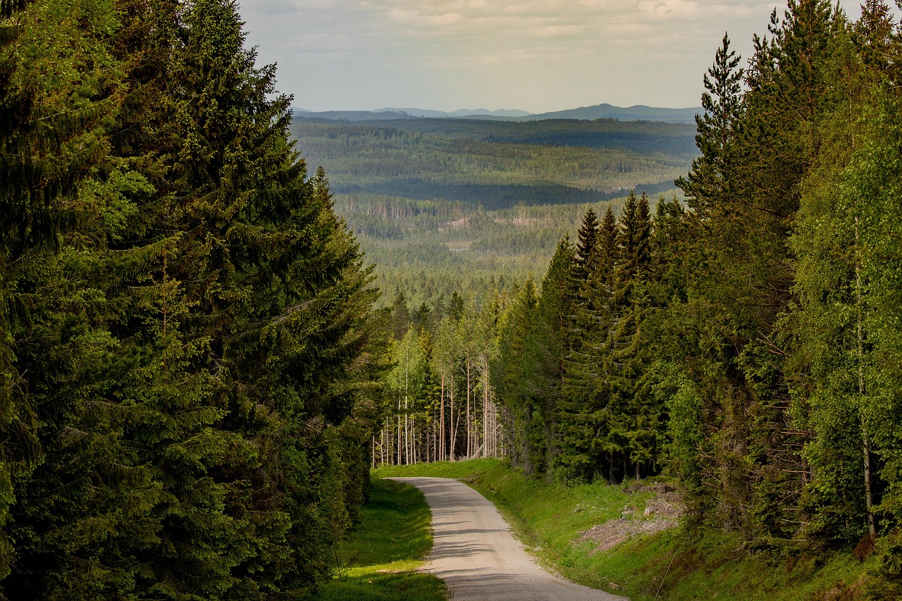Gravel Roads Near Me Exploring Rural Landscapes and Travel Safety
