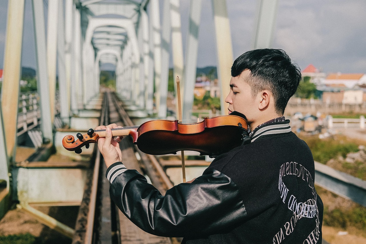 Biola Musik Pria Kereta - Foto gratis di Pixabay - Pixabay
