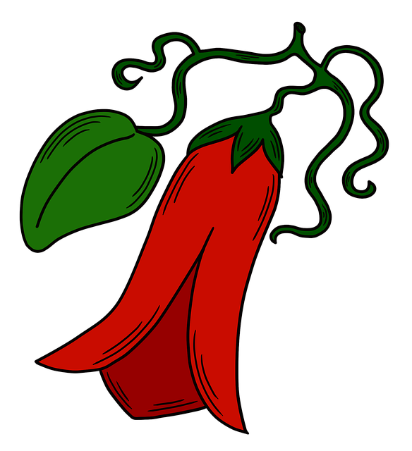 Free lapageria rosea chilean national flower chilean bellflower illustration