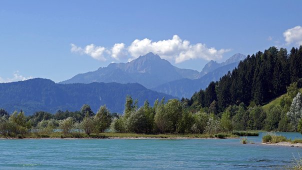 Allgäu, Wald, Bäume, Forggensee, Bayern
