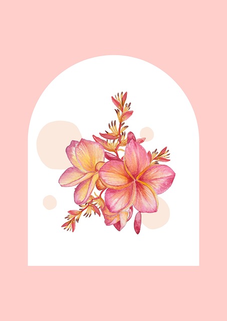 Blomst, Frangipani, Blomster Baggrund