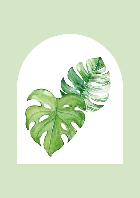 Monstera Blade, Blomster Baggrund
